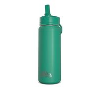 Hydrapeak Mini 20oz Kids Water Bottle w/Straw Lid | Stainless Steel Double Wall Insulated | Leak-Proof and Spill-Proof | Cold for 24 Hrs | Kelly Green