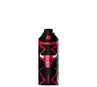 Hydrapeak x NBA Officially Licensed Chicago Bulls Oasis 20 oz Insulated Water Bottle, Stainless Steel Water Bottles with Chug Lid, Push Button