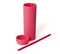 Hydrate Double Wall Bottle with Straw 480ml