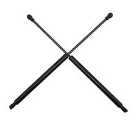 Hydraulic Buffer For Smart For Fortwo 451 Coupe 2007-2014 2Pcs A4519880004 Car Rear Trunk Boot Tailgate Gas Struts Lift Support Rod Bars Gas Spring Strut