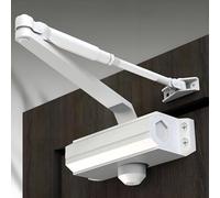 Hydraulic Door Closer, Spring-Loaded Automatic Door Closing Mechanism, Adjustable Speed, Easy to Install for Doors 55-330 lbs, Aluminum Finish, Strong Buffer