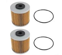 Hydraulic Filter 2pcs for Hydro Gear 71943 Transmission, for SCAG HG71943 for GRAVELY 21548300 Lawn Mower Replacement Heavy Duty