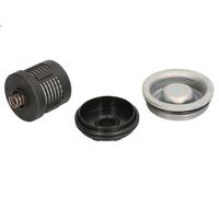 Hydraulic Filter, all-wheel-drive coupling BORG WARNER 120456 for A3 2 2004-2012