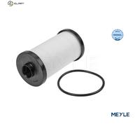 MEYLE 100 136 0003 Automatic Transmission Hydraulic Filter Fits Audi Seat Skoda