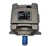 Hydraulic Gear Pump HG1 Series for Injection Molding Machine Servo Oil | Low noise, smooth operation, long life, electric drive. HG1-25/32/40/50/63-01R-VPC.(Hg1-50-01r-vpc)