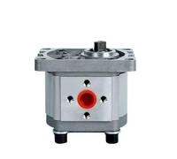 Hydraulic Gear Pump Runding CBN/CBT/CBW304 306 310 314 316 320 325 Small High Pressure Oil Form-02(Cbt-cbn-f304(20mpa),Form-01)