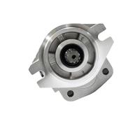 Hydraulic Gear Pumps,69101-51K01 Pump 6910151K01 Compatible with Komatsu Forklift FG/D30 Compatible with Nissan Engine H25 TD27