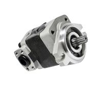 Hydraulic Gear Pumps, Pump 69101-51K01 6910151K01 Compatible with Komatsu Forklift FG/D30 Compatible with Nissan Engine H25 TD27