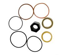 Hydraulic Lift Cylinder Seal Kit For Bobcat For Loader Fleet Maintenance | Bore 3 Inch Piston Rod 1-5/8 Hydraulic Seal Kit 7137939 For Bobcat For A300 A770 S250 S330, Heavy Duty Repair Set