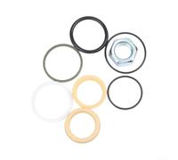 Hydraulic Lift Seal Kit 7135558 for Bobcat 220 320
