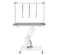 Hydraulic Pet Dog Grooming Table Lift Height Adjustable H Bar 180kg Weight Capacity Large 106cm x 61cm Grey Rubber Top Professional Heavy Duty Steel White Frame 4 Adaptable Stable Feet 3 Loop Leashes