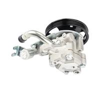 Hydraulic Power steering pump For Nissan For Murano For Pathfinder Xterra 2003-2015 49110-CA000 49110CA000 Power Steering Pump
