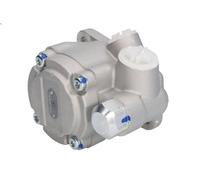 Hydraulic Pump, steering DT SPARE PARTS 3.69002 for MAN NL 6.871 1989-1994