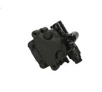 Hydraulic Pump, steering SPIDAN 53950 for VW BORA I (1J2) 2.3 1998-2