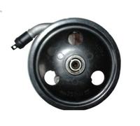 SPIDAN 54365 Power steering pump