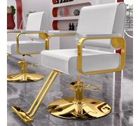 Hydraulic Styling Chair, Adjustable Height with Footrest and Wide Backrest for Barber and Beauty Salons