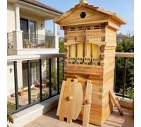 Hydravex Auto Flow Beehive Starter Kit with 4 Flow Frames, Observation Window, Wooden Bee Hive Box for Beginner Beekeeping and Backyard Honey Harvesting