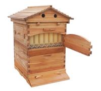 Hydravex Auto Flow Beehive Starter Kit with 7 Flow Frames, Observation Window & Honey Tap, Wooden Bee Hive Box for Beginner Beekeeping and Backyard Honey Harvesting