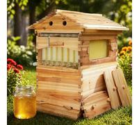 Hydravex Bee Hive Starter Kit, Automatic Beehive Box Set with 7 Brood Frames, for Easy Beekeeping, Complete Bee Hive Boxes for Backyard Beekeepers Technology