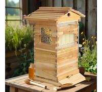 Hydravex Self-Flowing Honey Beehive Wooden Box, Wooden Auto Honey Hive with Auto Flow Frames, Durable Wax-Coated Fir Wood & Large Observation Window, for Backyard Beekeepers