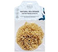 Hydrea London Artists Painting Natural Silk Sponges Kit - FineTexture - Sea Sponge Set for Fine Art, Craft, Ceramics, Pottery, Decorating, Paper Stretching (1 Pack - Grass Sea Sponge)