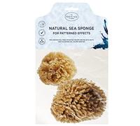 Hydrea London Artists Painting Natural Silk Sponges Kit - FineTexture - Sea Sponge Set for Fine Art, Craft, Ceramics, Pottery, Decorating, Paper Stretching (2 Pack - Grass Sea Sponges)