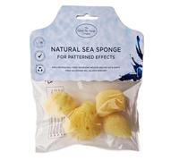Hydrea London Artists Painting Natural Silk Sponges Kit - FineTexture - Sea Sponge Set for Fine Art, Craft, Ceramics, Pottery, Decorating, Paper Stretching (Silk Sea Sponges - 4pk)