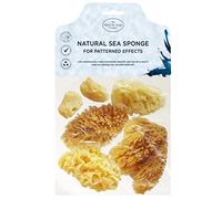 Hydrea London Artists Painting Natural Sponges Kit - Fine to Broad Texture - Sea Sponge Set for Art & Craft, Paint, Ceramics, Pottery, Decorating, Sponging, Fine Art