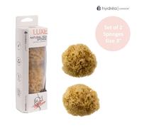 Hydrea London Baby Bliss Mediterranean Sea Sponges For Baby Bath In Natural Natural One Size