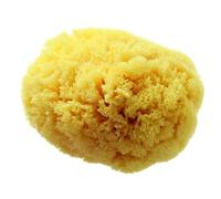 Hydréa London Grass Sea Sponge (BG/6W)