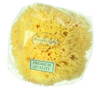 Hydrea London Honeycomb Sea Sponge for Bath 5 to 5.5"