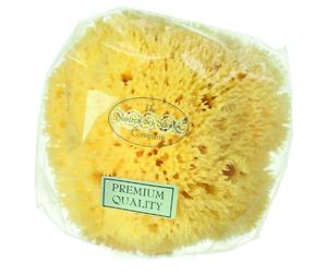 Hydrea London Honeycomb Sea Sponge for Bath 5 to 5.5"