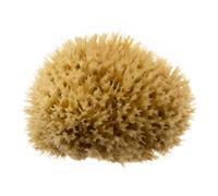 Hydrea London Natural Sea Sponge 5.5-6"- Premium Mediterranean Honeycomb Unbleached Natural Sponge for Bath and Shower for Adults, Women, Men Children and Baby