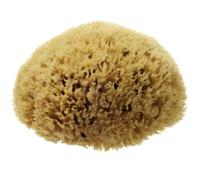 Hydréa London Natural Honeycomb Sea Sponge - size 5-5.5"