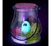 HyDren 1 Set Halloween Pet Ghost in a Jar Adopt a Ghost Glows in the Dark Pet in a Bottle with Moss Luminous Figurines in Glass Spooky Decor Creepy DIY Craft Gifts for Halloween Party Favors