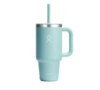 Hydro Flask Travel Tumbler with Handle, Lid and Straw - Insulated Stainless Steel in 32 Oz Dew