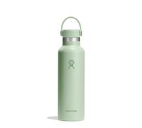 Hydro Flask - Standard Flex Cap 621 ml (21 oz) Bottle | Stainless Steel, Leakproof, Cupholder Compatible - Insulated Cold 24 Hrs & Hot 12 Hrs - Aloe