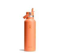 Hydro Flask - Standard Flex Straw Cap 621 ml (21 oz) Bottle - Stainless Steel, Leakproof, Cupholder Compatible - Insulated Cold 24 Hrs - Nectar