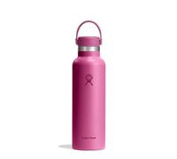 HYDRO FLASK - Standard Mouth Water Bottle 621 ml (21 oz) - Vacuum Insulated Stainless Steel Water Bottle with Leak Proof Flex Cap and Powder Coat - Reef