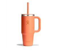 Hydro Flask - Travel Tumbler 710 ml (24 oz) | Closable Press-In Straw Lid - Stainless Steel - Double Wall Vacuum Insulated - Splash resistant lid - Nectar