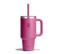 Hydro Flask - Travel Tumbler 946 ml (32 oz) | Closable Press-In Straw Lid - Stainless Steel - Double Wall Vacuum Insulated - Splash resistant lid - Reef