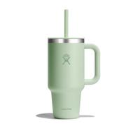 HYDRO FLASK - Travel Tumbler 946 ml (32 oz) with Closable Press-In Straw Lid - Stainless Steel - Double Wall Vacuum Insulated - Splash resistant lid - Aloe