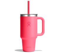 Hydro Flask - Travel Tumbler 710 ml (24 oz) with Clear Press-in Straw Lid - Stainless Steel - Double Wall Vacuum Insulated - Splash Resistant - Popstar Pink