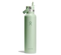 Hydro Flask Water Bottle - Insulated Stainless Steel - Standard Straw Lid, Non Spill, Leakproof in 24 Oz Aloe Green