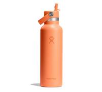 Hydro Flask - Standard Flex Straw Cap 621 ml (21 oz) Bottle - Stainless Steel, Leakproof, Cupholder Compatible - Insulated Cold 24 Hrs - Nectar