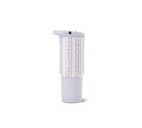 HydroJug Sport 20 oz Insulated Stainless Steel Water Bottle, Primrose