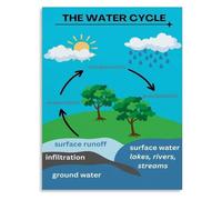 Hydrologic Cycle Ecosystems Poster Science Learning