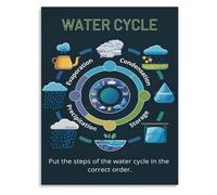 Hydrologic Cycle Poster Freshwater Ecology Display