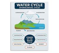 Hydrologic Cycle Poster Freshwater Ecology Display