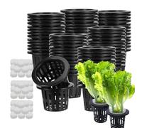 Hydroponic Baskets - Plants Net Cups Hydroponic Grooved Sides | 50x Cup Plant Plants | Gardening Bred Sponges Attached Aquaponic Baskets Friendly for Beginners for the